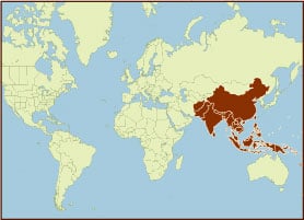 Spice Map - Asia, Southeast