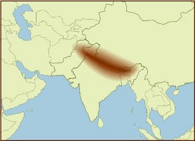 Spice Map - Himalayas