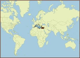 Spice Map - Mediterranean, Eastern