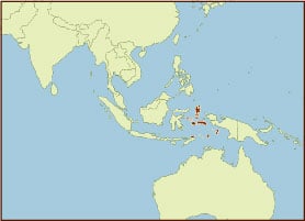 Spice Map - Spice Islands