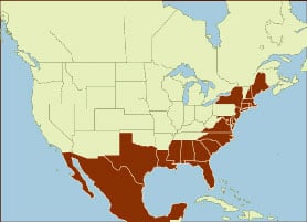 Spice Map - USA Mexico East Coast
